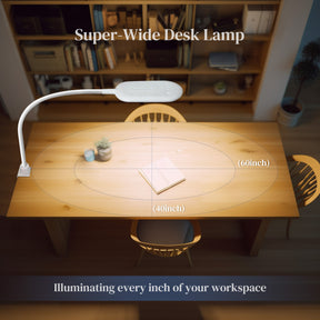 Desk Clamp Lamp