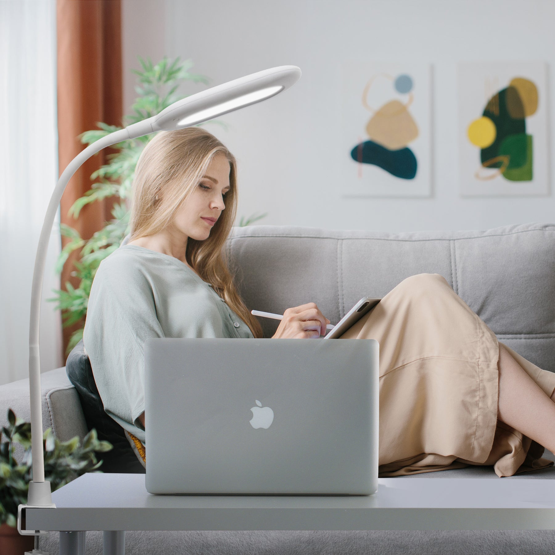 Desk Clamp Lamp