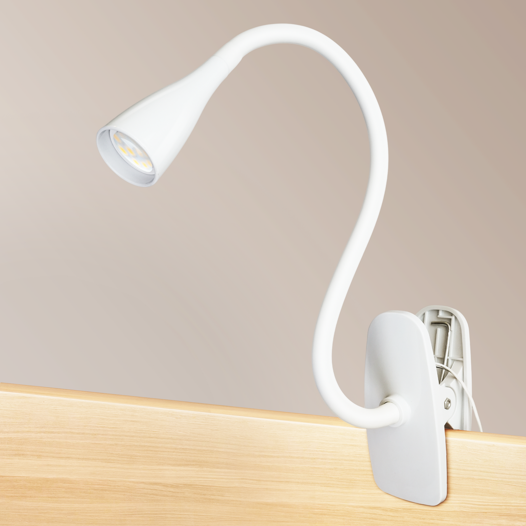 LED Reading Light