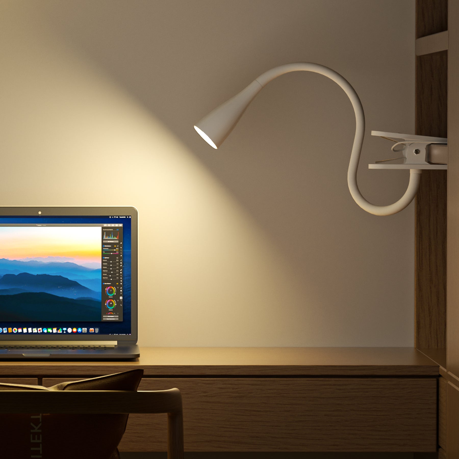 LED Reading Light